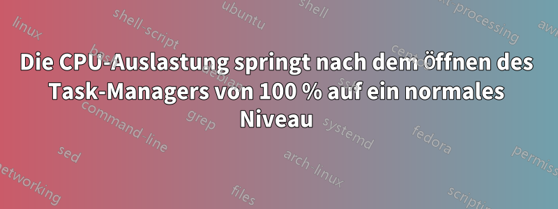 Die CPU-Auslastung springt nach dem Öffnen des Task-Managers von 100 % auf ein normales Niveau