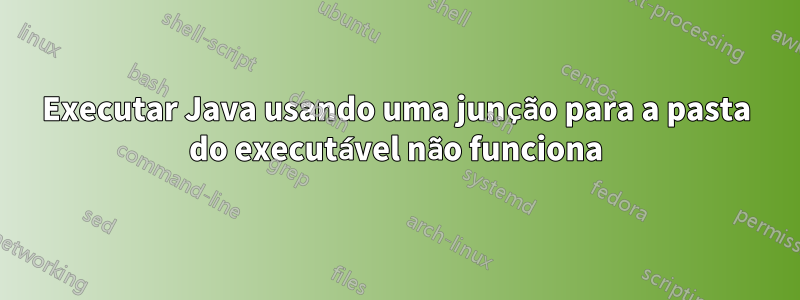 Executar Java usando uma junção para a pasta do executável não funciona