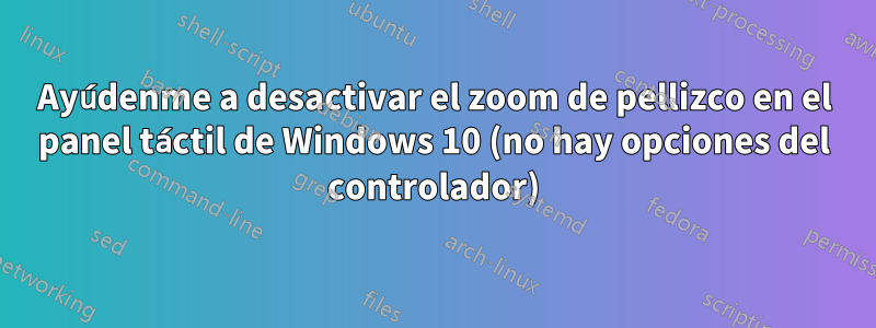 Ayúdenme a desactivar el zoom de pellizco en el panel táctil de Windows 10 (no hay opciones del controlador)