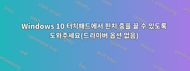 Windows 10 터치패드에서 핀치 줌을 끌 수 있도록 도와주세요(드라이버 옵션 없음)