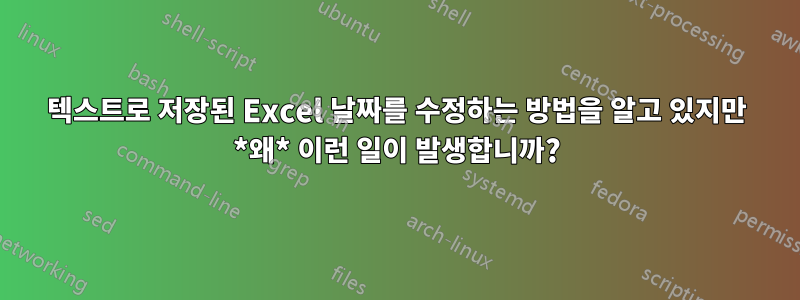 텍스트로 저장된 Excel 날짜를 수정하는 방법을 알고 있지만 *왜* 이런 일이 발생합니까?