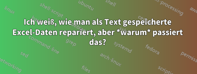 Ich weiß, wie man als Text gespeicherte Excel-Daten repariert, aber *warum* passiert das?