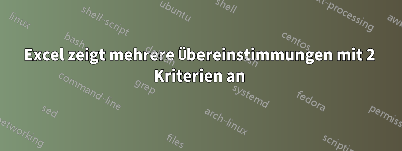 Excel zeigt mehrere Übereinstimmungen mit 2 Kriterien an