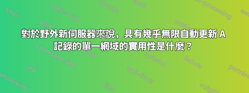 對於野外新伺服器來說，具有幾乎無限自動更新 A 記錄的單一網域的實用性是什麼？