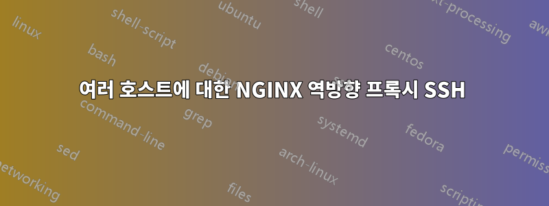 여러 호스트에 대한 NGINX 역방향 프록시 SSH