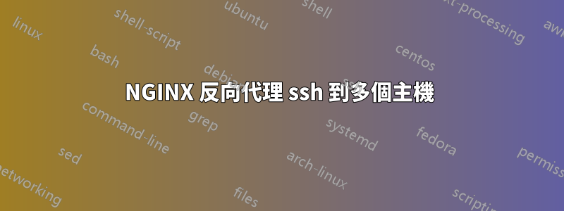 NGINX 反向代理 ssh 到多個主機