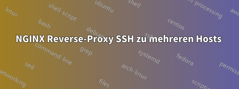 NGINX Reverse-Proxy SSH zu mehreren Hosts