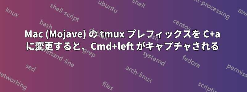 Mac (Mojave) の tmux プレフィックスを C+a に変更すると、Cmd+left がキャプチャされる