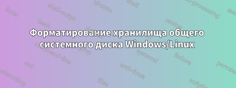 Форматирование хранилища общего системного диска Windows/Linux