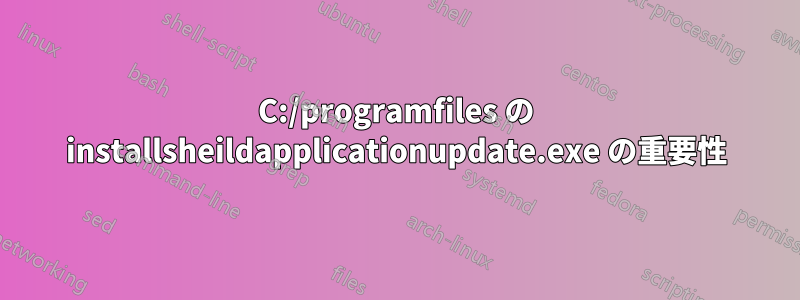 C:/programfiles の installsheildapplicationupdate.exe の重要性