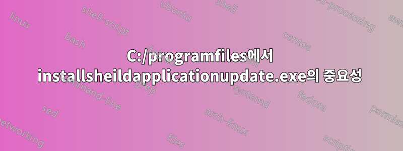 C:/programfiles에서 installsheildapplicationupdate.exe의 중요성