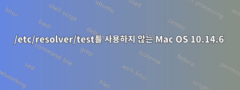 /etc/resolver/test를 사용하지 않는 Mac OS 10.14.6