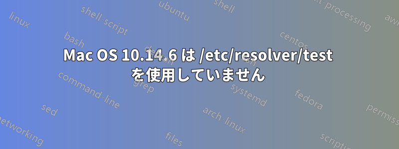 Mac OS 10.14.6 は /etc/resolver/test を使用していません