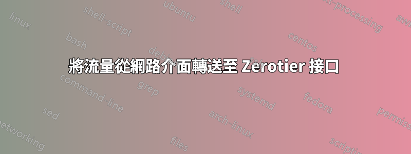 將流量從網路介面轉送至 Zerotier 接口