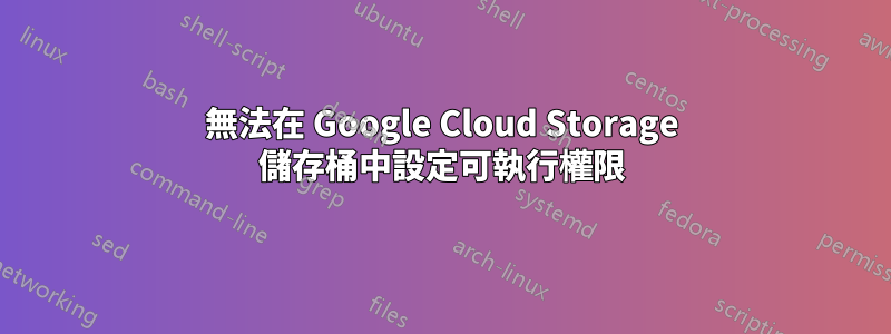 無法在 Google Cloud Storage 儲存桶中設定可執行權限