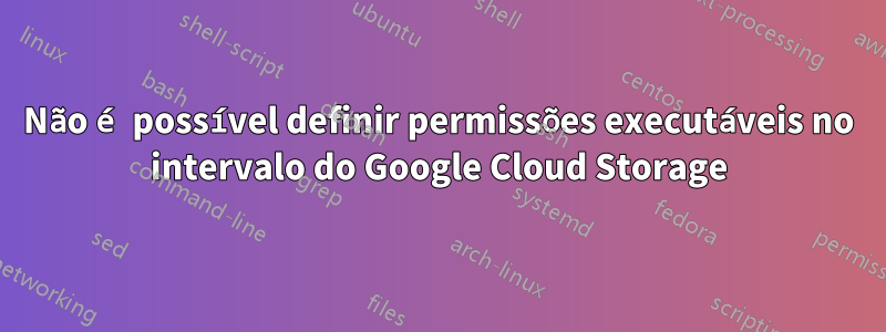 Não é possível definir permissões executáveis ​​no intervalo do Google Cloud Storage