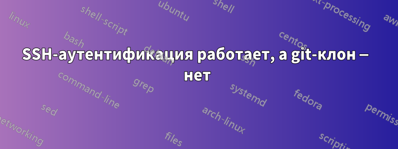SSH-аутентификация работает, а git-клон — нет