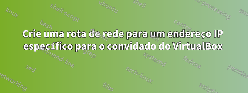 Crie uma rota de rede para um endereço IP específico para o convidado do VirtualBox