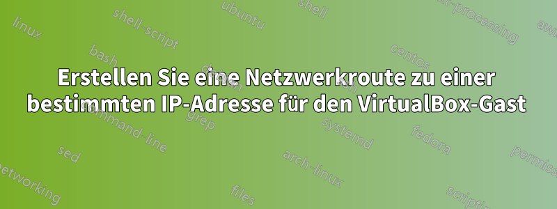 Erstellen Sie eine Netzwerkroute zu einer bestimmten IP-Adresse für den VirtualBox-Gast