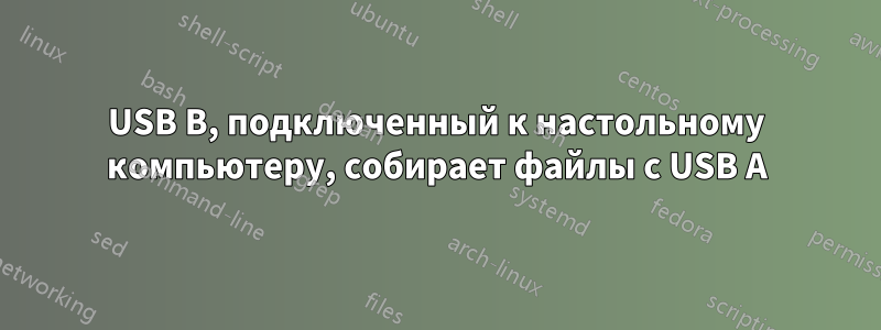 USB B, подключенный к настольному компьютеру, собирает файлы с USB A