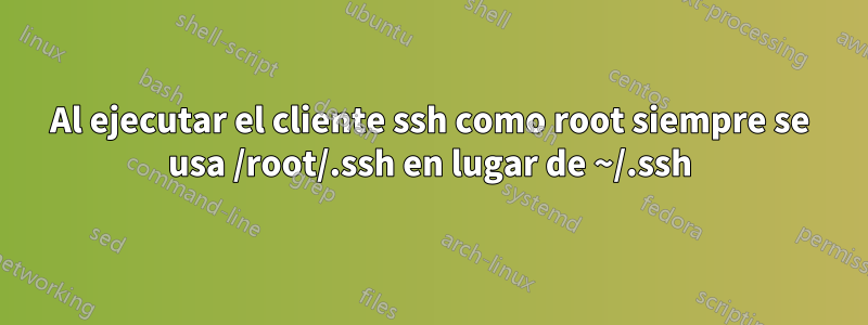 Al ejecutar el cliente ssh como root siempre se usa /root/.ssh en lugar de ~/.ssh