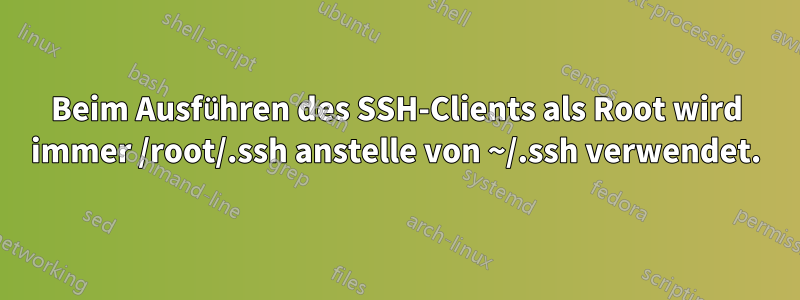 Beim Ausführen des SSH-Clients als Root wird immer /root/.ssh anstelle von ~/.ssh verwendet.