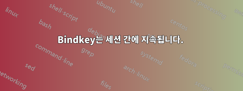 Bindkey는 세션 간에 지속됩니다.