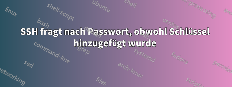 SSH fragt nach Passwort, obwohl Schlüssel hinzugefügt wurde