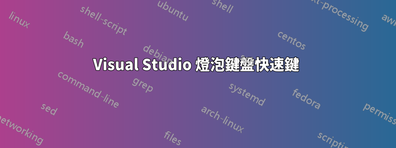 Visual Studio 燈泡鍵盤快速鍵