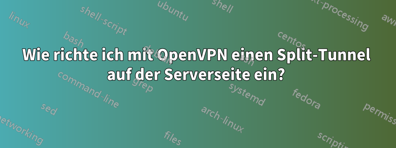 Wie richte ich mit OpenVPN einen Split-Tunnel auf der Serverseite ein?