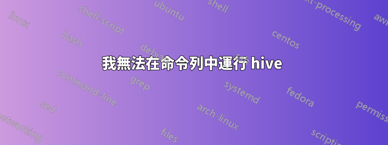 我無法在命令列中運行 hive