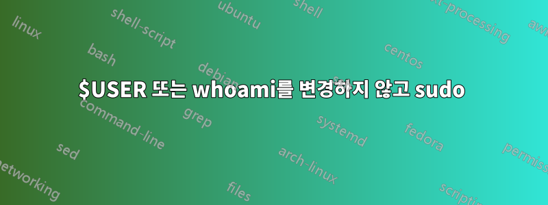 $USER 또는 whoami를 변경하지 않고 sudo