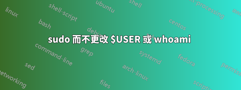 sudo 而不更改 $USER 或 whoami