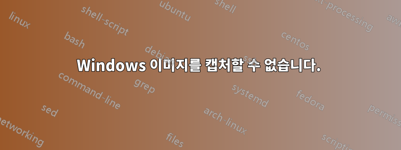 Windows 이미지를 캡처할 수 없습니다.