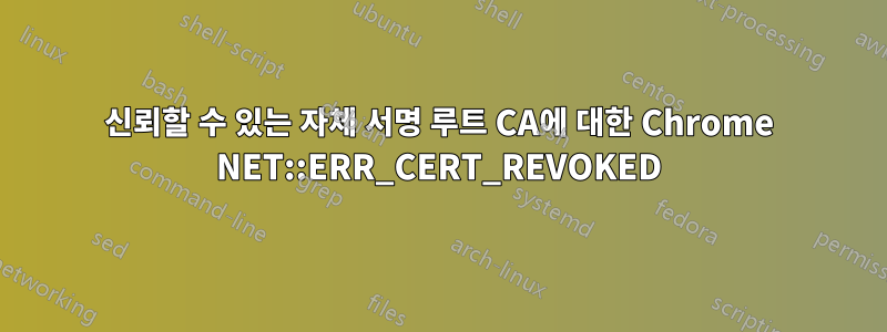 신뢰할 수 있는 자체 서명 루트 CA에 대한 Chrome NET::ERR_CERT_REVOKED