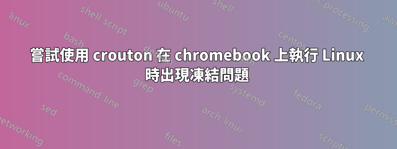 嘗試使用 crouton 在 chromebook 上執行 Linux 時出現凍結問題