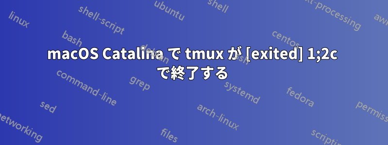 macOS Catalina で tmux が [exited] 1;2c で終了する