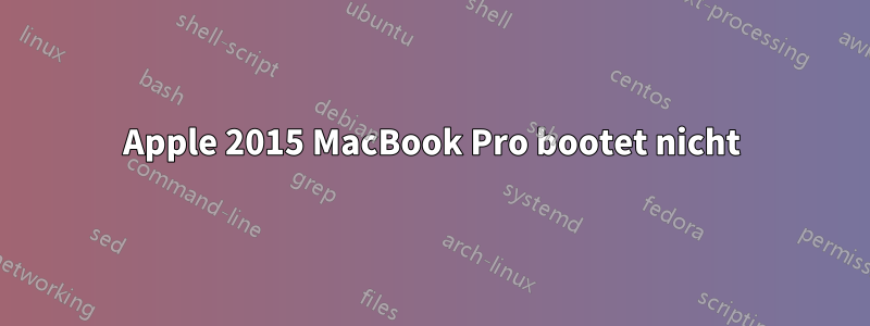 Apple 2015 MacBook Pro bootet nicht