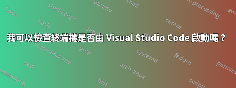 我可以檢查終端機是否由 Visual Studio Code 啟動嗎？