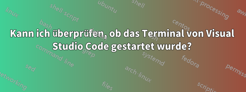 Kann ich überprüfen, ob das Terminal von Visual Studio Code gestartet wurde?