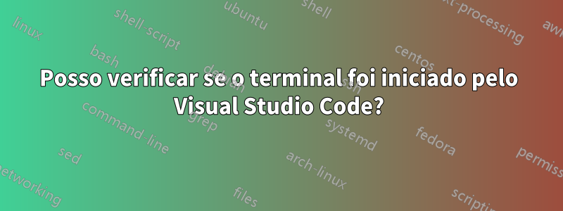 Posso verificar se o terminal foi iniciado pelo Visual Studio Code?