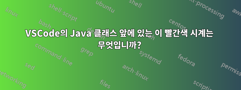 VSCode의 Java 클래스 앞에 있는 이 빨간색 시계는 무엇입니까?