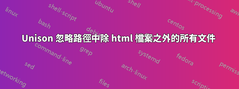 Unison 忽略路徑中除 html 檔案之外的所有文件