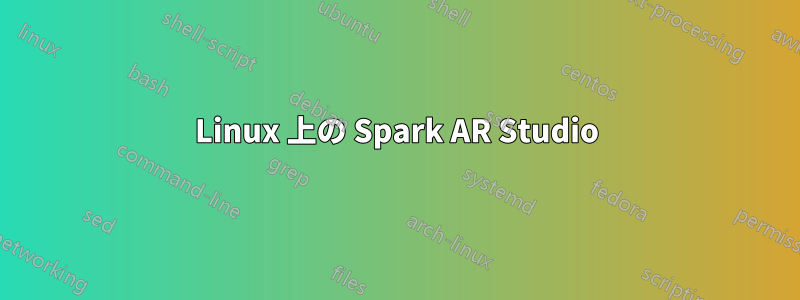 Linux 上の Spark AR Studio