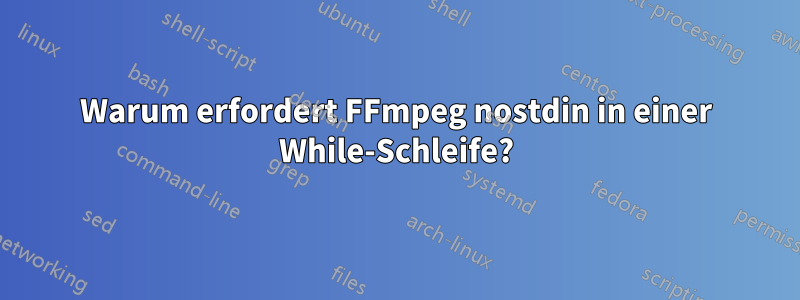 Warum erfordert FFmpeg nostdin in einer While-Schleife?