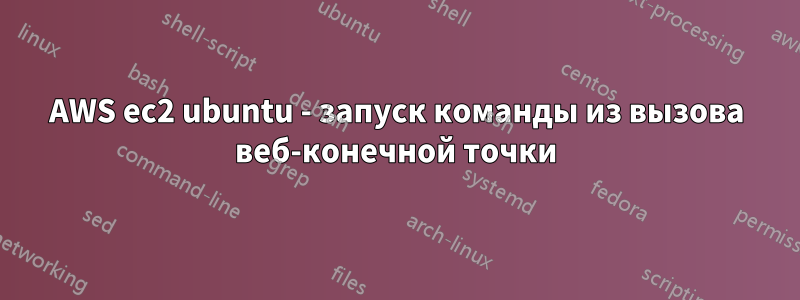 AWS ec2 ubuntu - запуск команды из вызова веб-конечной точки