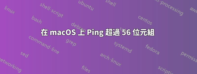 在 macOS 上 Ping 超過 56 位元組