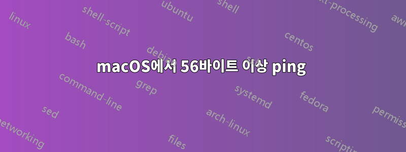 macOS에서 56바이트 이상 ping