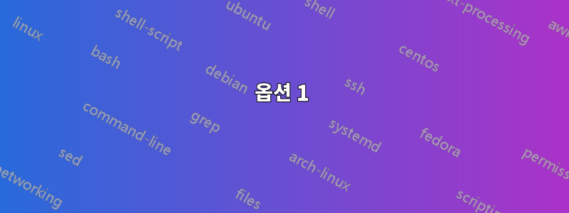 옵션 1