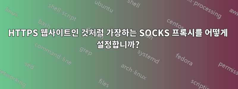 HTTPS 웹사이트인 것처럼 가장하는 SOCKS 프록시를 어떻게 설정합니까?